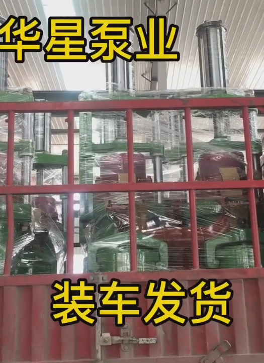 節(jié)能型大流量咸陽(yáng)柱塞泵產(chǎn)品視頻
